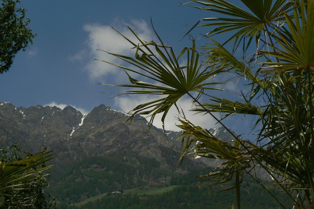 Alpina Residence Naturns Εξωτερικό φωτογραφία