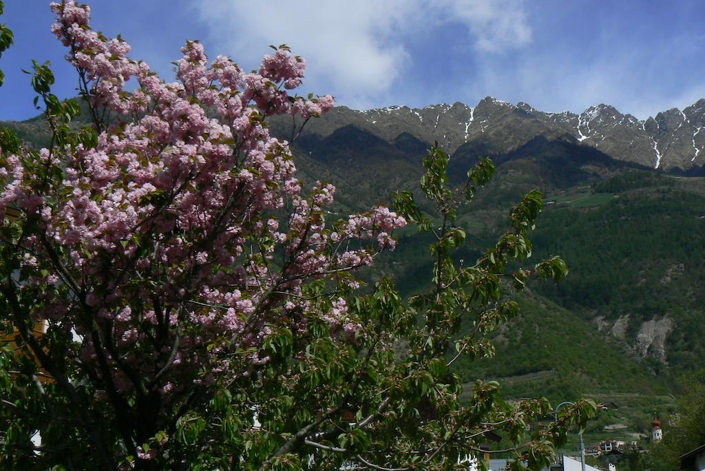 Alpina Residence Naturns Εξωτερικό φωτογραφία